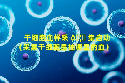 干细胞血样采 🦈 集启动（采集干细胞是抽哪里的血）